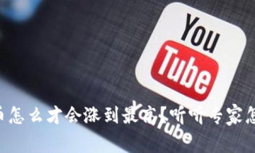 虚拟币怎么才会涨到最高？听听专家怎么说！