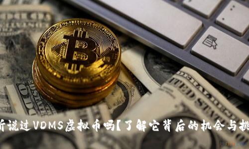 你听说过VDMS虚拟币吗？了解它背后的机会与挑战！