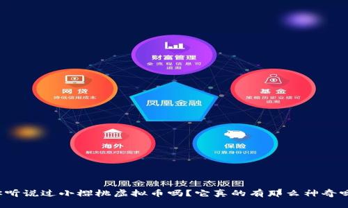 你听说过小樱桃虚拟币吗？它真的有那么神奇吗？