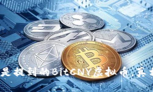 对话中总是提到的BitCNY虚拟币，真相是什么？