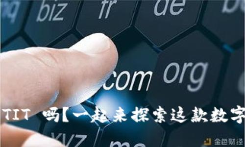 你知道虚拟币 TIT 吗？一起来探索这款数字资产的未来吧！
