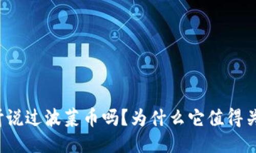 你听说过波菜币吗？为什么它值得关注？