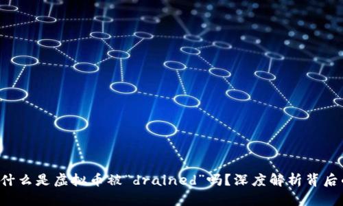 你知道什么是虚拟币被“drained”吗？深度解析背后的真相！