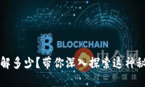 虚拟彩虹币，你了解多少？带你深入探索这神秘的数字货币世界！
