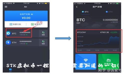 STK虚拟币一探究竟：你需要知道的一切！