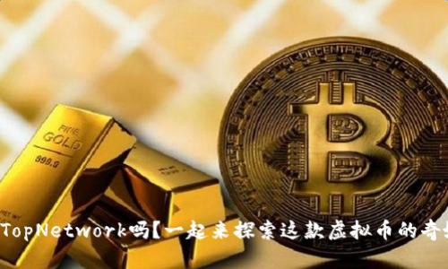 你听说过TopNetwork吗？一起来探索这款虚拟币的奇妙世界吧！
