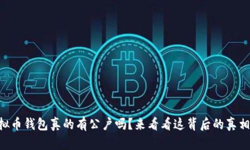 虚拟币钱包真的有公户吗？来看看这背后的真相吧!