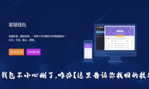 TP钱包不小心删了，咋办？这里告诉你找回的技巧！