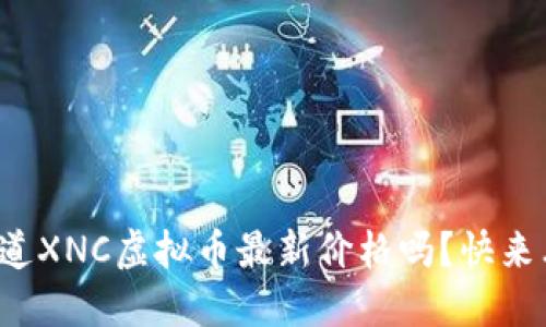 你想知道XNC虚拟币最新价格吗？快来看看吧！