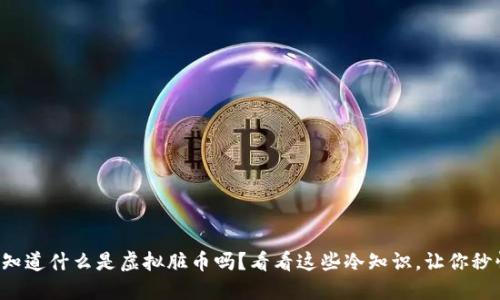 你知道什么是虚拟脏币吗？看看这些冷知识，让你秒懂！