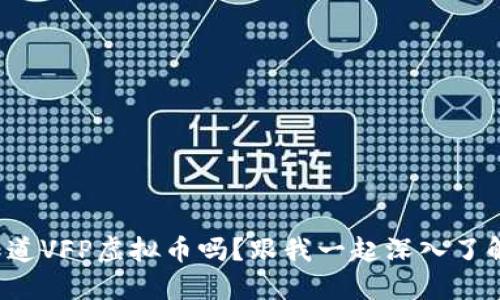 你知道VFP虚拟币吗？跟我一起深入了解吧！
