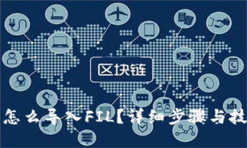 tp钱包怎么导入FIL？详细步骤与技巧分享