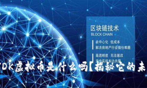你知道JDK虚拟币是什么吗？揭秘它的未来潜力！