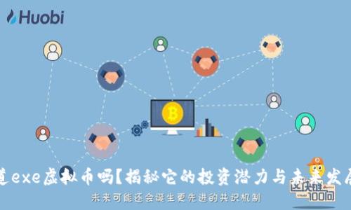 你知道exe虚拟币吗？揭秘它的投资潜力与未来发展方向