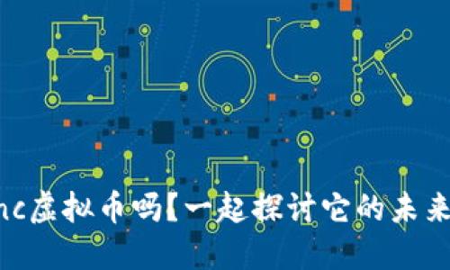 你听说过eanc虚拟币吗？一起探讨它的未来与投资机会！