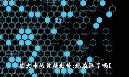 柴犬币的价格走势：现在涨了吗？
