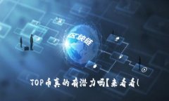 TOP币真的有潜力吗？来看看！