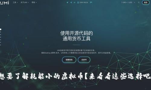 想要了解耗能小的虚拟币？来看看这些选择吧！