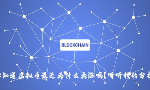 你知道虚拟币最近为什么大涨吗？听听我的分析！