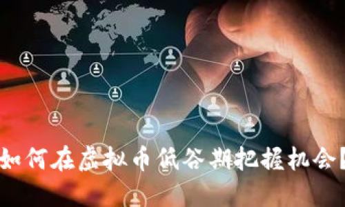 如何在虚拟币低谷期把握机会？