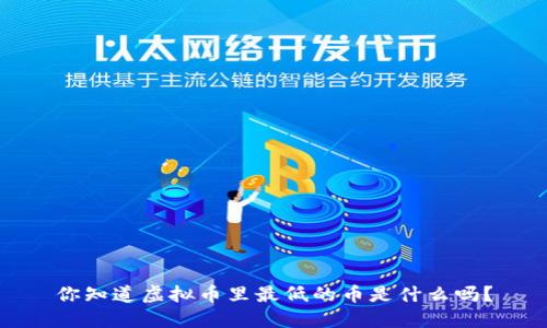 你知道虚拟币里最低的币是什么吗？