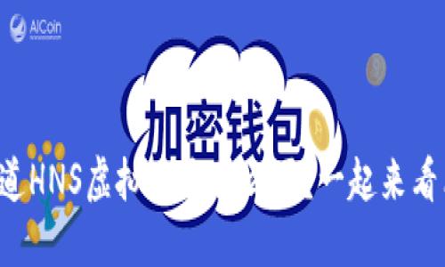 想知道HNS虚拟币是什么吗？一起来看看吧！