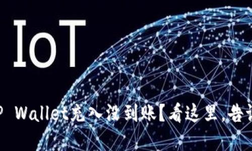 为什么我的TP Wallet充入没到账？看这里，告诉你解决办法！