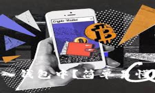 虚拟币怎么放入钱包中？简单易懂的步骤大揭秘！