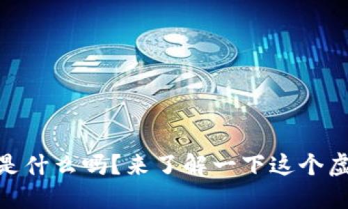 你知道hubdex是什么吗？来了解一下这个虚拟币的秘密吧！