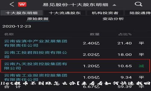 tpwallet提币不到账怎么办？来看看如何快速找回资金！