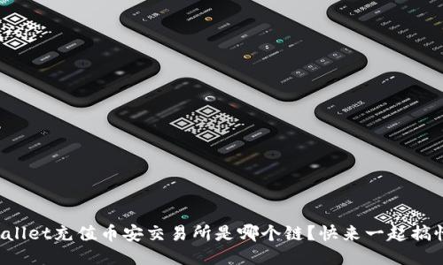 TPWallet充值币安交易所是哪个链？快来一起搞懂吧！