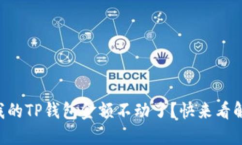为什么我的TP钱包金额不动了？快来看解决办法！