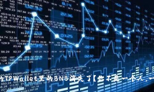 为什么我的TPWallet里的BNB消失了？你不是一个人，一起来看看！