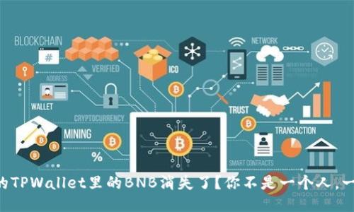 为什么我的TPWallet里的BNB消失了？你不是一个人，一起来看看！