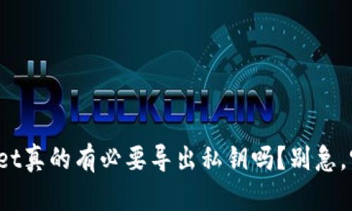 tpwallet真的有必要导出私钥吗？别急，听我说！