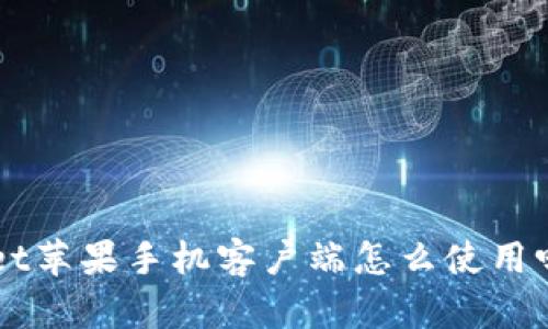 你知道TPWallet苹果手机客户端怎么使用吗？一起探索吧！