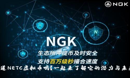 你知道NETC虚拟币吗？一起来了解它的潜力与未来吧！