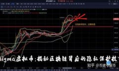 “Enigma虚拟币：揭秘区块链背后的隐私保护技艺
