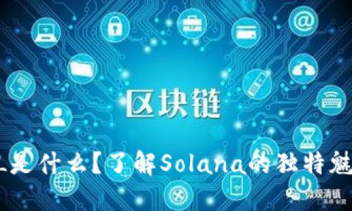 虚拟币SOL是什么？了解Solana的独特魅力与潜力！