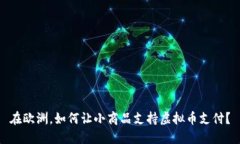 在欧洲，如何让小商品支持虚拟币支付？