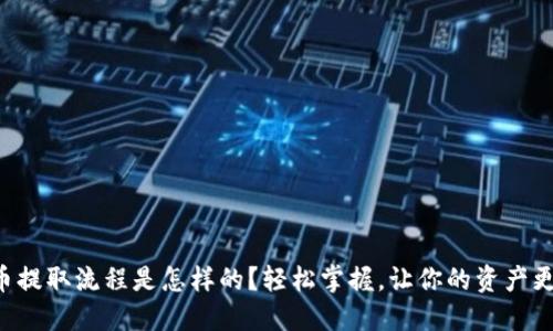“虚拟币提取流程是怎样的？轻松掌握，让你的资产更灵活！”