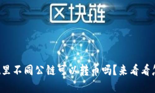 tpwallet里不同公链可以转币吗？来看看怎么操作！
