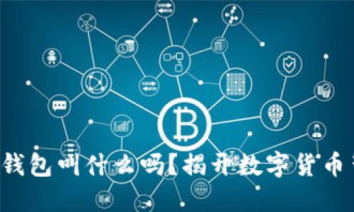 你知道虚拟币的钱包叫什么吗？揭开数字货币背后的神秘面纱！