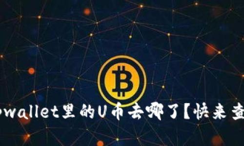 Hey, tpwallet里的U币去哪了？快来查明真相！