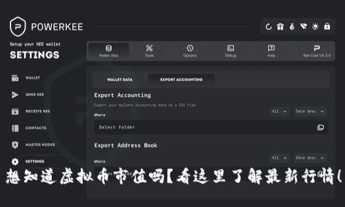 想知道虚拟币市值吗？看这里了解最新行情！