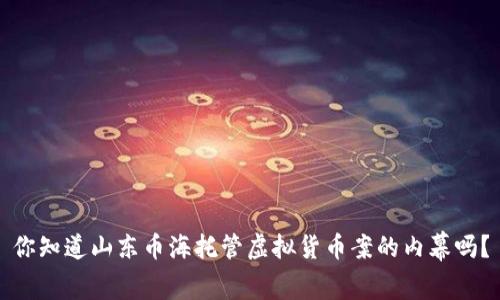 你知道山东币海托管虚拟货币案的内幕吗？