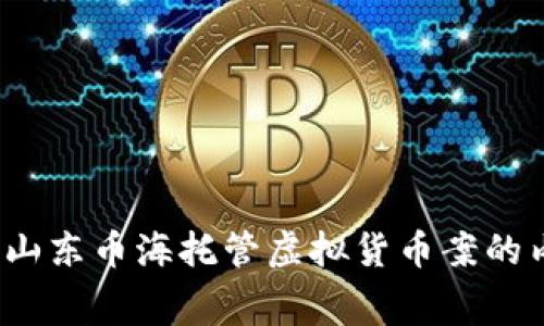 你知道山东币海托管虚拟货币案的内幕吗？
