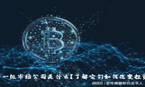 国内虚拟币一级市场公司是什么？了解它们如何改变投资游戏规则！