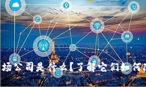 国内虚拟币一级市场公司是什么？了解它们如何改变投资游戏规则！