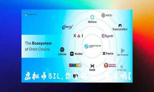 虚拟币BIL，你了解它的未来吗？
